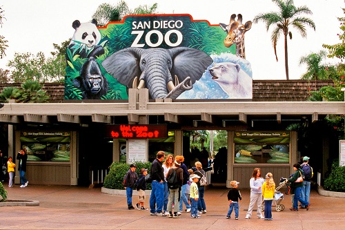Zoológico de San Diego Ingresso de 01 Dia